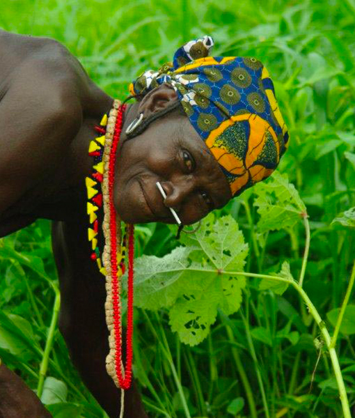 Les pays Bassari